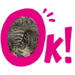 [LINEスタンプ] 我が家の猫〜仲間たち