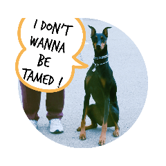 [LINEスタンプ] doggo stamps 4