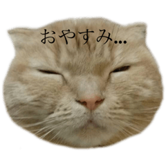 [LINEスタンプ] まるおくんスタンプ