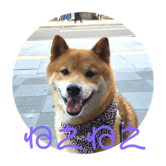 [LINEスタンプ] ほのぼの元気くん4️⃣