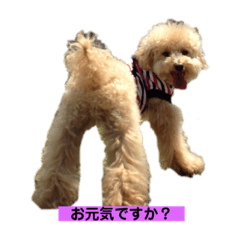 [LINEスタンプ] テディ日記 2