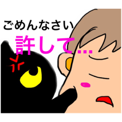 [LINEスタンプ] 猫との生活。ほんわか。日常スタンプ