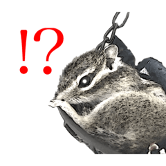 [LINEスタンプ] むぎぐらし ねぐずりむぎ
