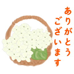 [LINEスタンプ] ガーデニングで日常会話