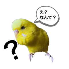 [LINEスタンプ] ロク♡ひめら♡うた♡ケロの画像（メイン）