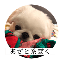 [LINEスタンプ] むこティンビーバー