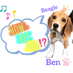 Beagle Ben の ほのぼのスタンプ