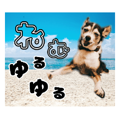 [LINEスタンプ] リオ君のひとりごと VOL 1