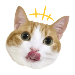 [LINEスタンプ] ラブこむぎちゃん