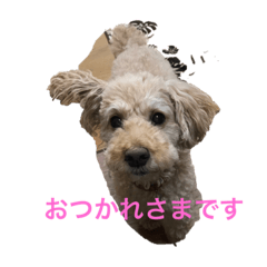 [LINEスタンプ] ゆずちゃんルーム