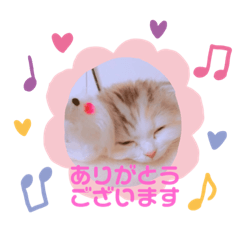 [LINEスタンプ] こむぎさん ありがとうスタンプ