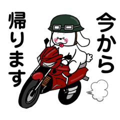 [LINEスタンプ] マルチーズまるくんの日常