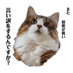 [LINEスタンプ] 桃タローのつぶやき ver4