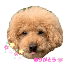 [LINEスタンプ] えいちゃん①