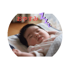 [LINEスタンプ] うちのすみれちゃん