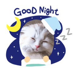 [LINEスタンプ] こむぎさん ひと言スタンプ