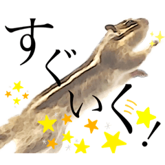[LINEスタンプ] むぎぐらし つよめ