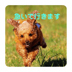 [LINEスタンプ] mocoの1日 その3
