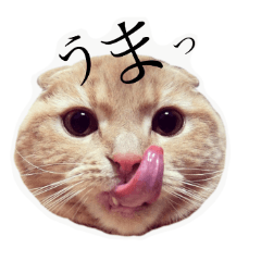 [LINEスタンプ] まるおくんスタンプ3
