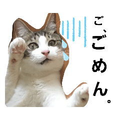 [LINEスタンプ] ねこたち。②