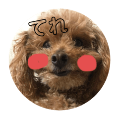 [LINEスタンプ] mocoの1日 その4
