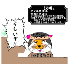 [LINEスタンプ] マヌルネコならぬ！ヌマル(埋まる)ネコ！！