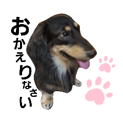 [LINEスタンプ] ティオのいる生活