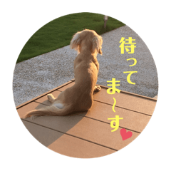 [LINEスタンプ] ジローダト