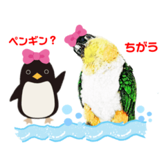 [LINEスタンプ] シロハラインコとニョオウインコ1