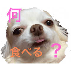 [LINEスタンプ] 初めてのれんくんスタンプ