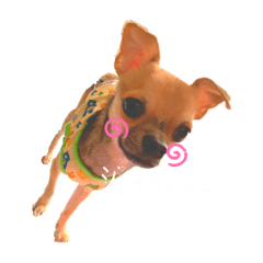 [LINEスタンプ] ベアちゃんです！！2