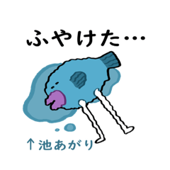 ゆるい さかな(たち)