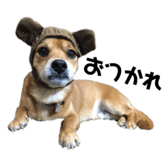 [LINEスタンプ] モフたち