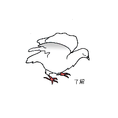[LINEスタンプ] ハトのスタンプ