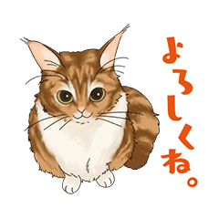 [LINEスタンプ] ちゃちゃマロスタンプ