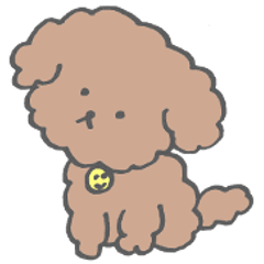 [LINEスタンプ] もこもこトイプードル【ぽこ】ミニサイズ