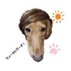 [LINEスタンプ] レオン(ダックスフント)