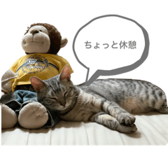 [LINEスタンプ] ハルやん①