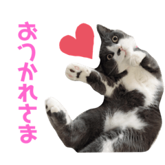 [LINEスタンプ] 日常ぐーたん