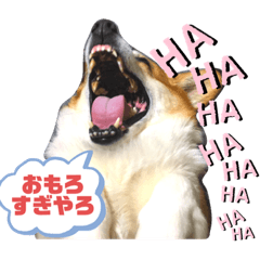 [LINEスタンプ] rinabtw111