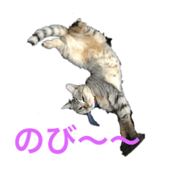 [LINEスタンプ] ミーブー