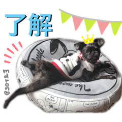 [LINEスタンプ] maronちゃんスタンプ