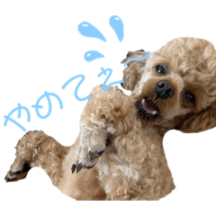[LINEスタンプ] ベルスタ①