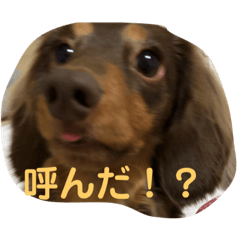 [LINEスタンプ] ティト君