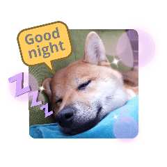[LINEスタンプ] ちゃちゃのきもち。
