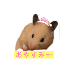 [LINEスタンプ] マルお嬢 2