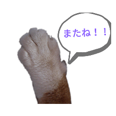 [LINEスタンプ] 我が家の猫たち②