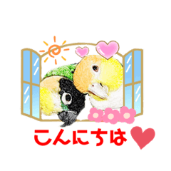 [LINEスタンプ] ニョオウインコとシロハラインコ1