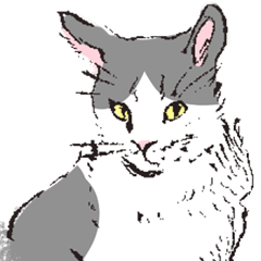 [LINEスタンプ] 化け猫ちっくな猫