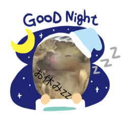 [LINEスタンプ] ハム友さん